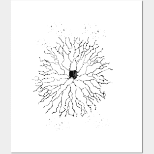 Starburst neuron Posters and Art